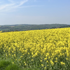 22-05-02 11-48-36 0710